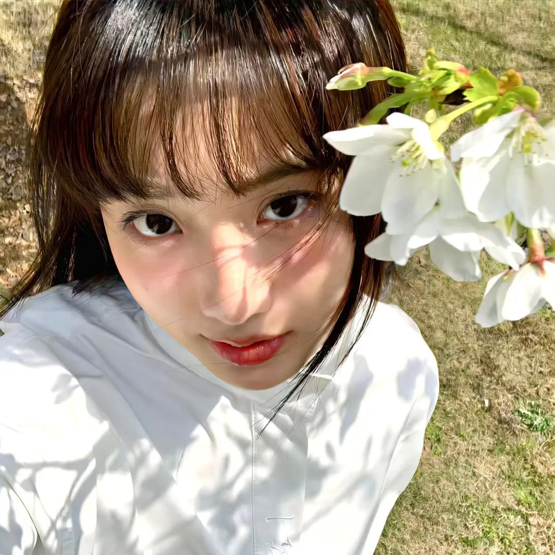 写珍集